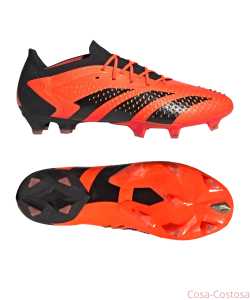 Футбольные Бутсы adidas Predator Accuracy.1 L FG Heatspawn