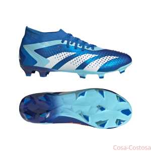 Футбольные Бутсы adidas Predator Accuracy.2 FG Marinerush
