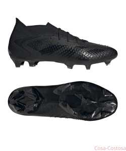 Футбольные Бутсы adidas Predator Accuracy.1 FG Nightstrike